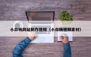 文昌小白杨网站制作视频（小白杨视频素材）