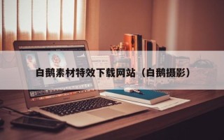 文昌白鹅素材特效下载网站（白鹅摄影）
